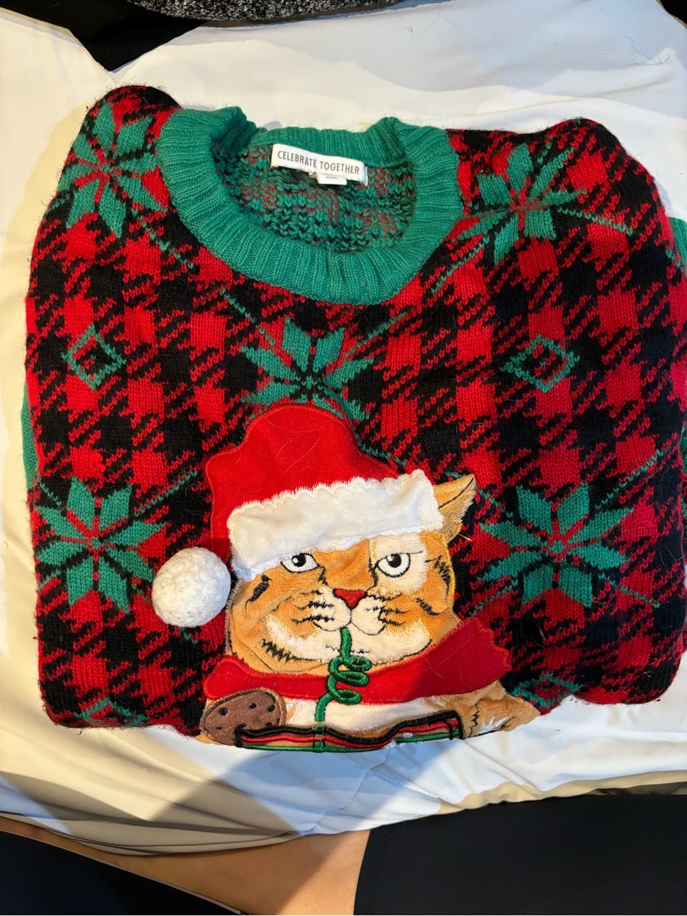 Celebrate Together Red & Green Holiday Cat Sweater